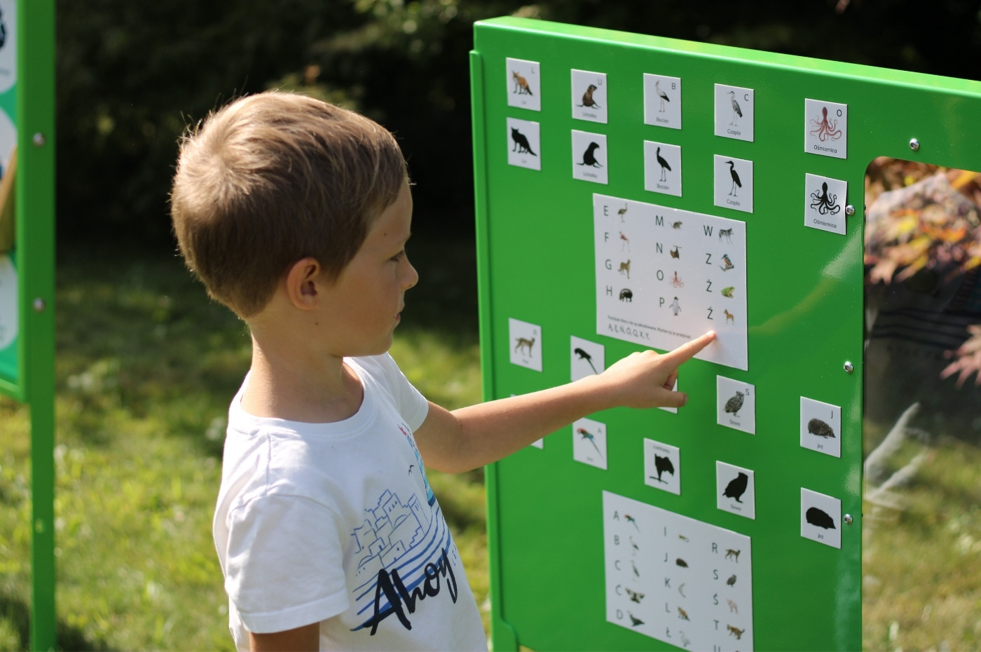 Edu-box Nauka segregacji 42szt. w akcji - zdjęcie 4