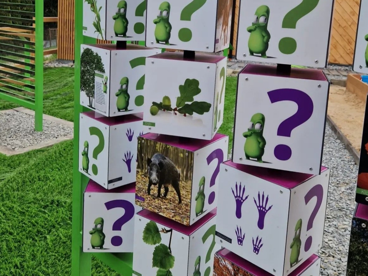 Four neighbouring cubes turned to different faces, each with a different print: a picture, a task and an answer