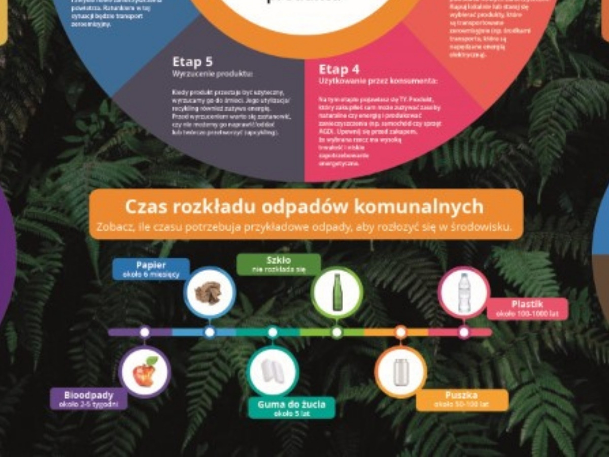Fragment nadruku tablicy z&nbsp;osią czasu rozkładu odpadów: papier, szkło, plastik, bioodpady, guma do żucia i&nbsp;puszka