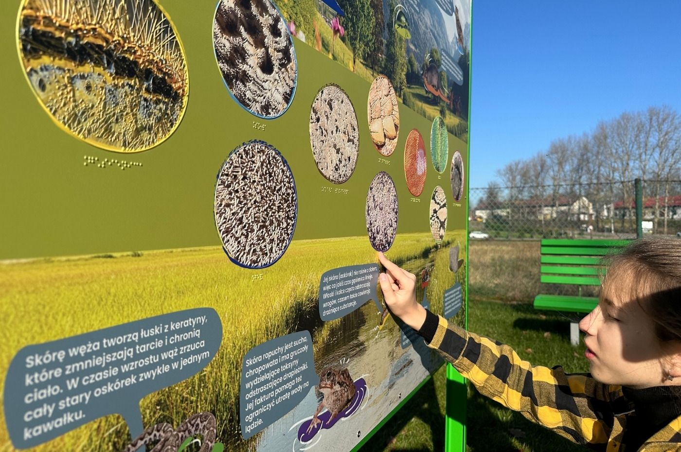 Tablica dotykowa Hapti - Natura pod palcami w akcji - zdjęcie 2