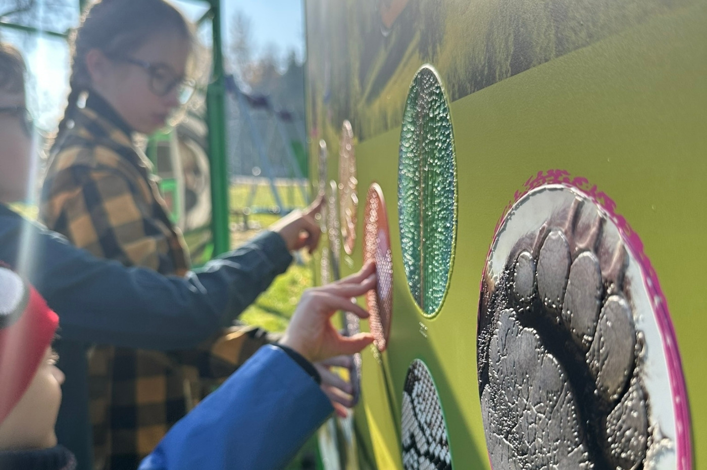 Tablica dotykowa Hapti - Natura pod palcami w akcji - zdjęcie 4