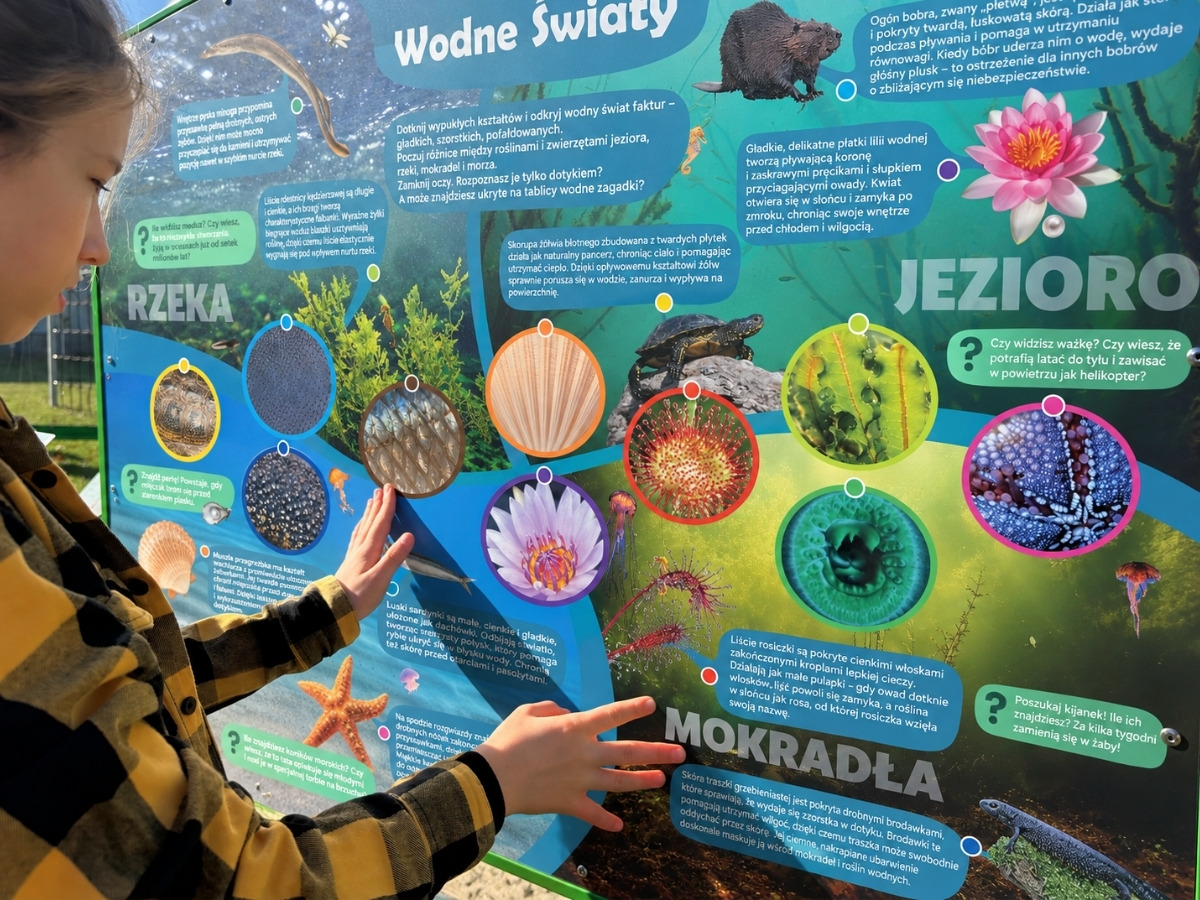 Strefa sensoryczna tablicy dotykowej Hapti z&nbsp;kilkoma różnymi fakturami obok siebie, dłoń dziecka na jednej z&nbsp;nich