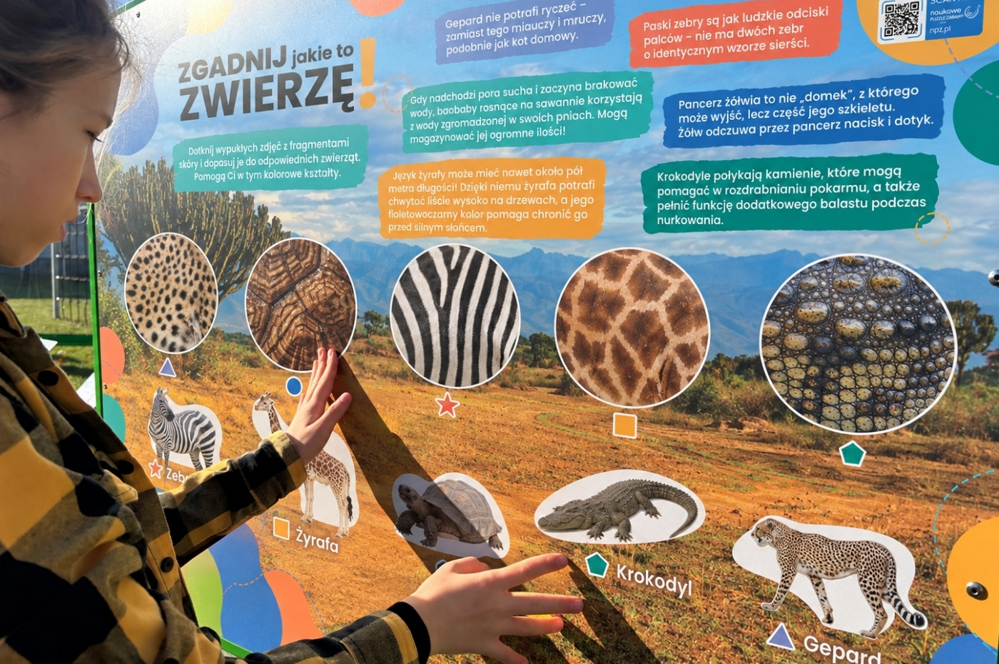 Tablica dotykowa Hapti - Rozpoznaj zwierzęta w akcji - zdjęcie 3