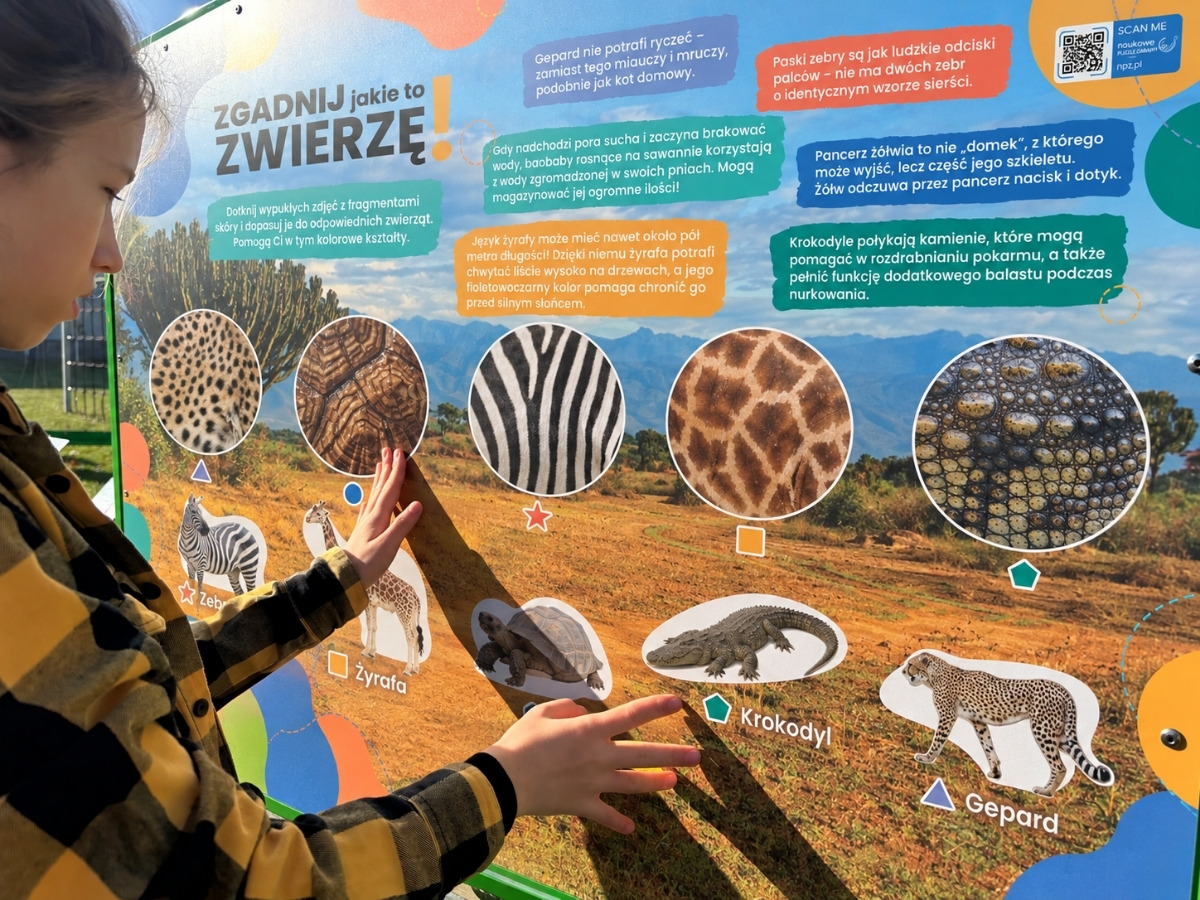 Strefa sensoryczna tablicy dotykowej Hapti z&nbsp;kilkoma różnymi fakturami obok siebie, dłoń dziecka na jednej z&nbsp;nich