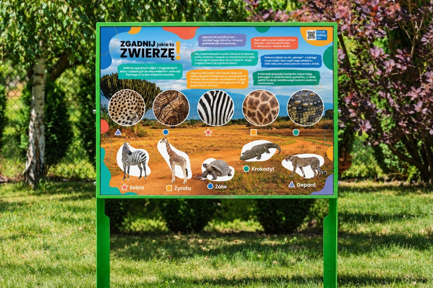 Tablica dotykowa Hapti - Rozpoznaj zwierzęta