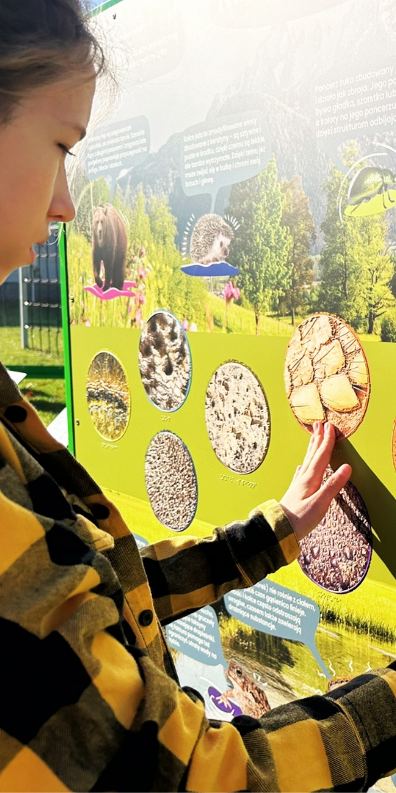 Urządzenie terapeutyczne na placu zabaw